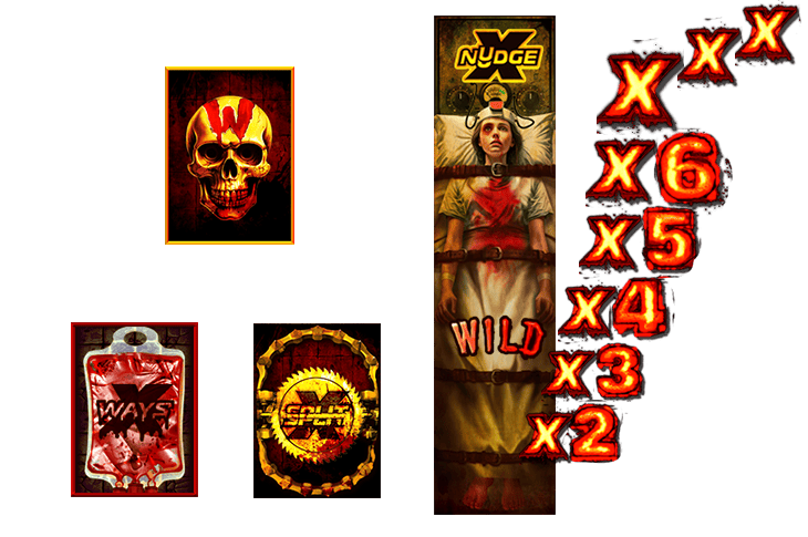 Enhancer Cells 画像