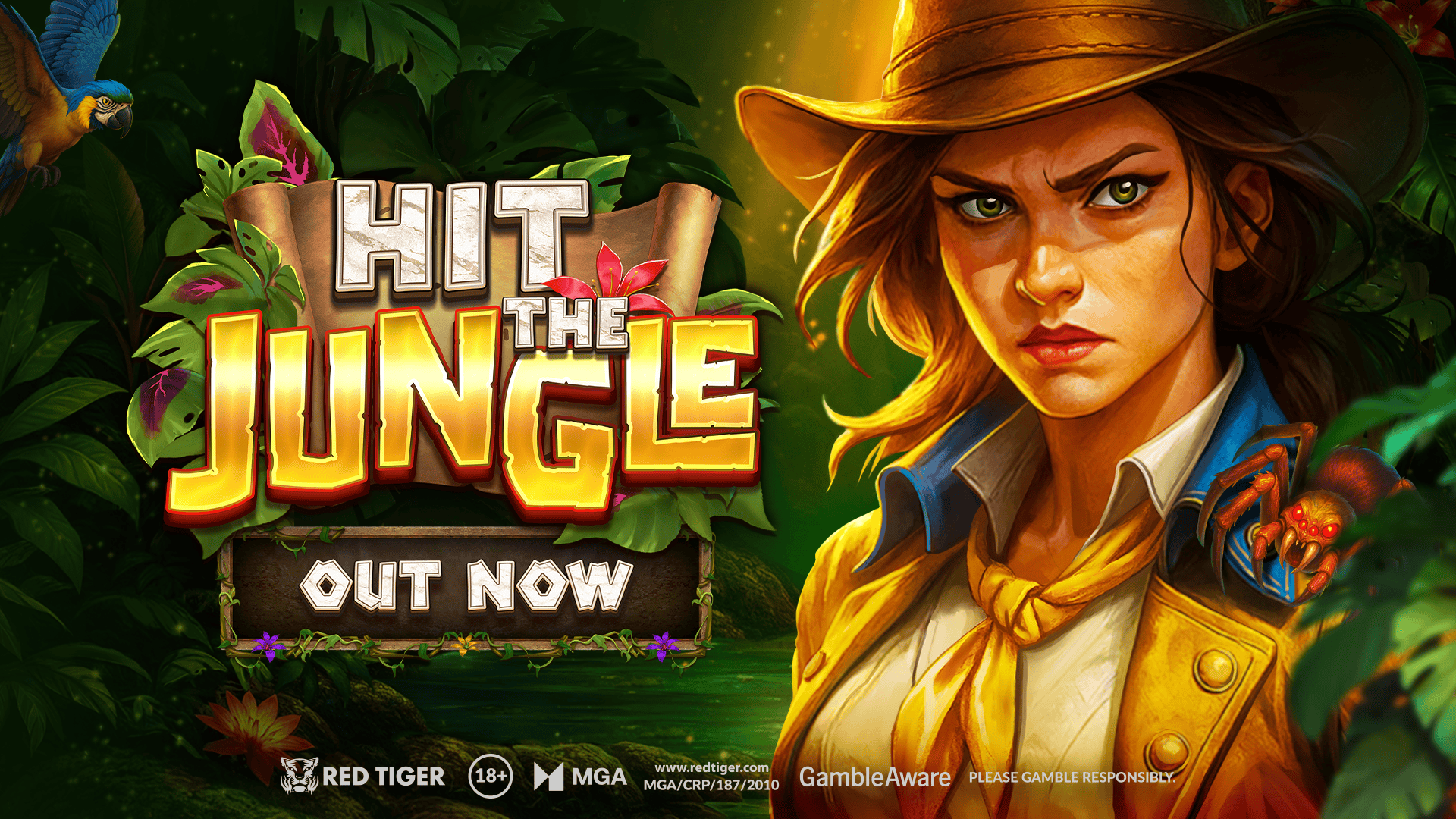 Gameplay