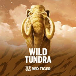 Jugar Wild Tundra Slot - Play | 95.74% RTP, 10500 xBet MAX WIN online - Playin - Black Dragon Lab