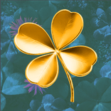 7’s Luck von Red Tiger