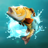 Golden Catch von Big Time Gaming