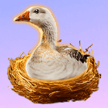 Golden Goose Megaways™ von Big Time Gaming