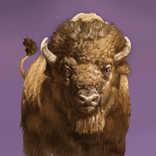 Big Bad Bison von Big Time Gaming