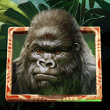 Gorilla Kingdom™ von NetEnt