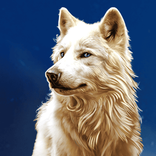 Wolf Stacks Megaways™ von Red Tiger