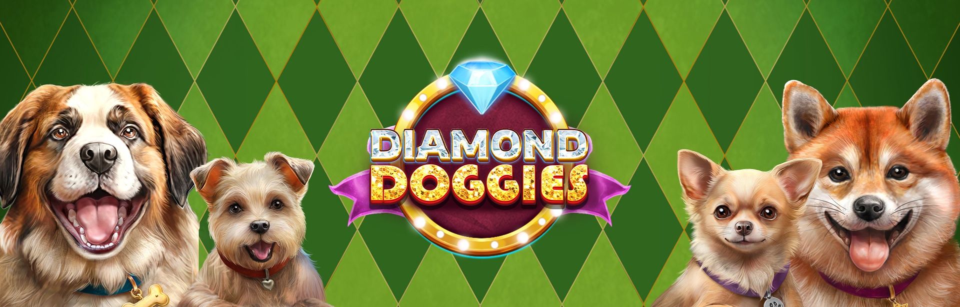 xlarge_diamond_doggies_rt_fans